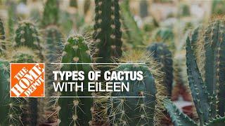 Types of Cactus with Eileen | Indoor House Plants | The Home Depot