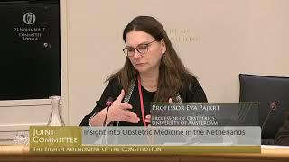 2017.11.22 Professor Eva Pajkrt on abortion post 24 weeks in the Netherlands