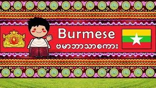 The Sound of the Yangon Burmese language (UDHR, Numbers, Greetings, Words & Sample Text)