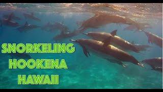 Snorkeling Review - Ho'okena Beach, Hawaii (Big Island)