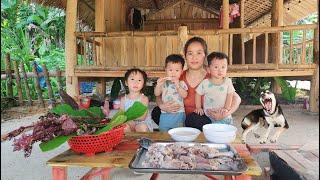 Single Mother - Picking medicinal leaves, cooking porridge for sick child | Ly tieu tieu