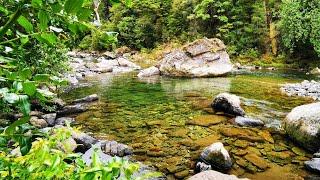 Fly Fishing for New Zealand's Biggest Hardest Trout (on dry fly)