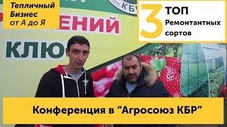 Клубничная конференция в Нарткале - Иван Малич отвечает на вопросы Агросоюза КБР