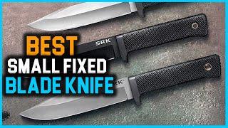 Top 6 Best Small Fixed Blade Knives in 2023 | Review and Buying Guide