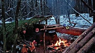 Ночёвка ЗИМОЙ в лесу | Мокрый снег | Строительство укрытия для выживания | Бушкрафт | bushcraft.