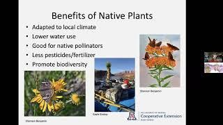 Native Plants for AZ Mountain Landscaping Webinar