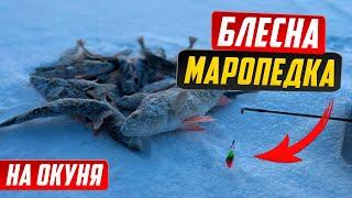 Маропедка: лучшая зимняя блесна на окуня. Улов гарантирован.