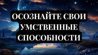 ИЩИТЕ СВЕТ ПЕРЕД ТЕМ КАК ДЕЙСТВОВАТЬ  Золотые Правила Ежедневной Жизни.