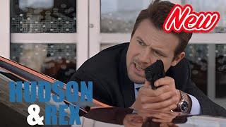 [ NEW ] Hudson & Rex 2024 | The French Connection | Canine Crime Solvers Full Episode HD ‍ ‍ ‍