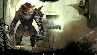 Guild Wars 2: Character Creation