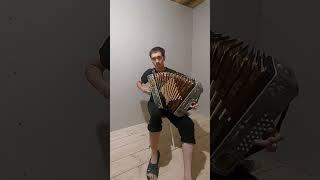 Татарская песня Ай былбылым (на гармошке)