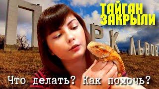 ТАЙГАН ЗАКРЫЛИ. ЧТО ДЕЛАТЬ? КАК ПОМОЧЬ?