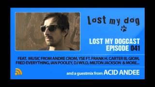 Lost My Dogcast 041 - Acid Andee