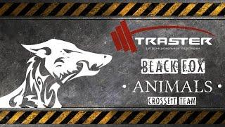 Полина Коледаева / Animals Crossfit Team / Black F