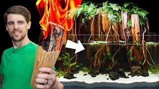 Making a Forest Paludarium from Firewood