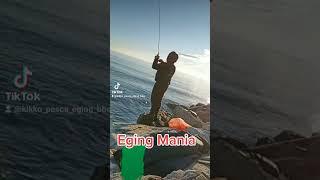 Eging Mania#shorts #eging #pesca #pescare #yamashita