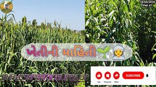 ખેતી ની માહિતી||Khetini Ni Mahiti #ખેતી #farming #villagelife #farmar 