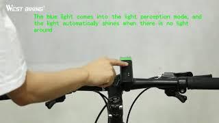 Induction Light Installation Video-YP0701166