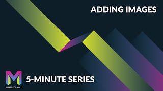 Adding Images in Adobe Muse | 5-Minute Series | Adobe Muse CC | Muse For You