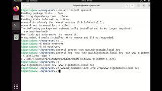 Howto Generate a key for your server and sign it by your own CA