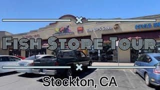 Fish Store Tour - Randy’s Fish Palace (Stockton, CA)