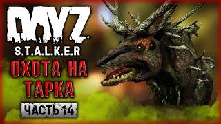 ОХОТА НА ТАРКА! СТАЛКЕРСКИЕ БУДНИ! | DayZ Anomaly Stalker Pve ️ | (часть 14)