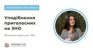 БЕЗКОШТОВНА ЛЕКЦІЯ. УПОДІБНЕННЯ ПРИГОЛОСНИХ НА ЗНО | Українська ЗНО 2023 | ОНЛАЙН-ШКОЛА ЗНОБІК