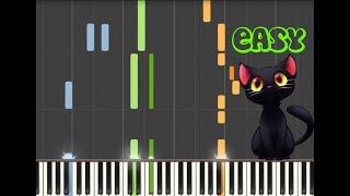 I WANTED A BLACK CAT - GOLDEN ZECCHINO - EASY PIANO TUTORIAL - THE PLAN ON THE TUBE