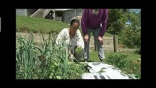 Puke coal Tv3 interview