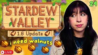 Can we get into Qi's walnut room today? | Stardew Valley 1.6