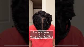 Chebe journey. Week 40 Day 269. Chebe powder for aggressive length retention. #naturalhaircare