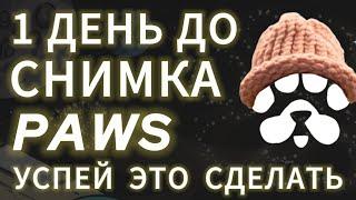 PAWS СДЕЛАЙ ЭТО ПРЯМО СЕЙЧАС! СНИМОК УЖЕ 30 ДРОП ТОКЕНА ЛАПЫ КОГДА ЛИСТИНГ УСЛОВИЯ AIRDROP НА БИРЖУ