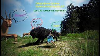 300-400кк в час? Легкий фарм 255+ атаки в БДО (BDO - Black Desert) Камасильвия часть 2 фаст споты.