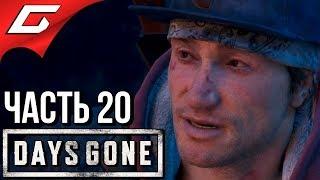 DAYS GONE (Жизнь После)  Прохождение #20  СРЕДИ ДРУЗЕЙ