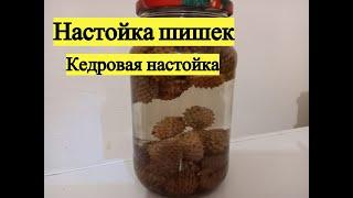 Настойка кедровых шишек. Лечебная настойка.