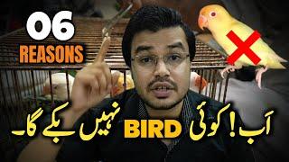 Birds market Crashed | Birds sale na hone ka reason | Lovebirds business doobne ka reason 2025