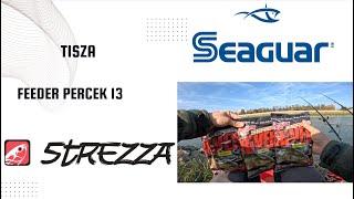 Tisza Feeder Minutes Part 13 - Benzár River Series Cheese Bait Test | Strezza Fishing