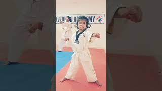 Doyen Taekwondo Academy || Punches Practice