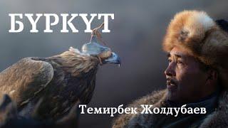 Темирбек Жолдубаев | Бүркүт | аудио китеп | аңгеме