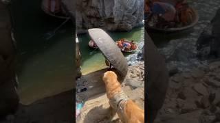 JEPANG MEMANG BEDA CUY#videoviral #informasi #tahukahkamu