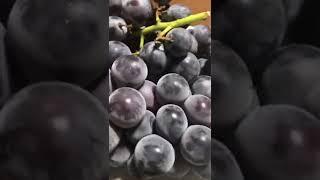 LOOK AT THIS! Japanese grapes / oishii budo #shorts #ぶどう