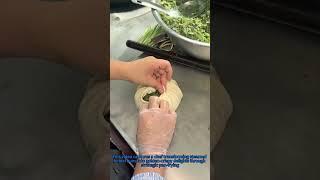 Crispy Bottom Buns Secret: Fennel Dumplings Pan-Fry Trick
