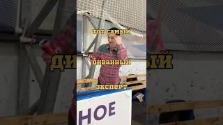 ТОТ САМЫЙ ДИВАННЫЙ ЭКСПЕРТ   sport-vsegda.ru  #спорт #хоккей