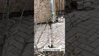 Так и живем. #астрахань