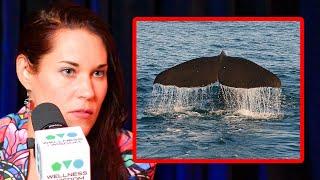 Teal Swan: Negative Ancestral Patterns Are The Byproduct of Extreme Trauma