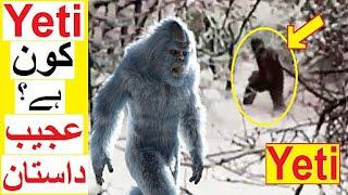 Yeti Kon Hai ? - Truth behind these Creatures