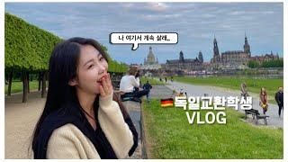 vlogㅣ교환학생의 짧지만 굵은 일주일 븨로그