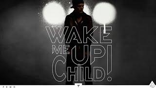 Swedish House Mafia Vs. Avicii - Don't You Worry Child Vs. Wake Me Up (Mashup) [Music Video]
