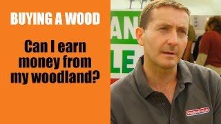 Buying a Wood: Can I earn money from my woodland?