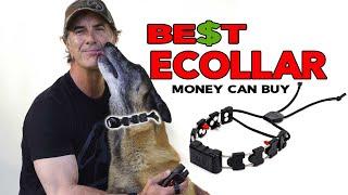 The BEST ECollar for Your DOG